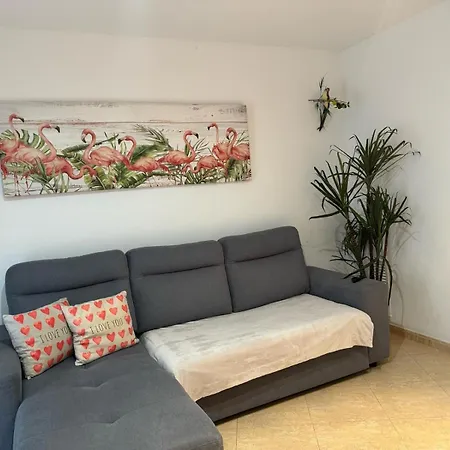 Parrot's House Apartmán