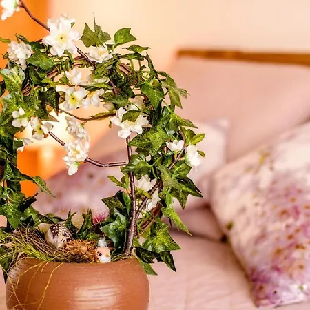 Parrot's House Διαμέρισμα