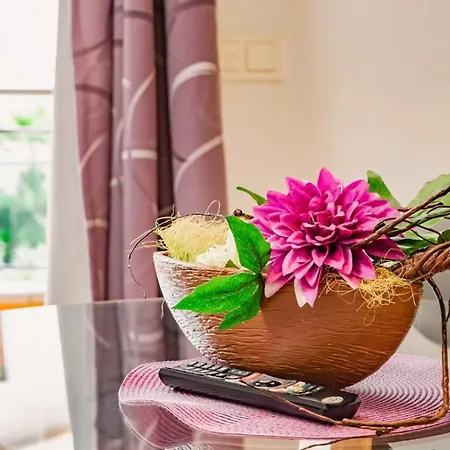 Apartmán Parrot's House