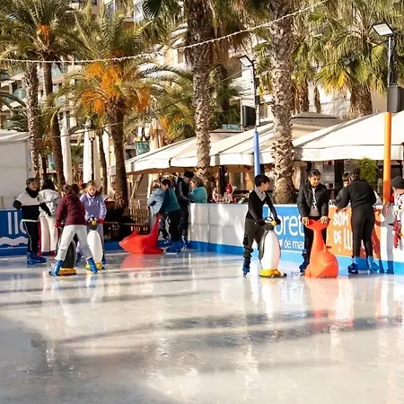 Διαμέρισμα Parrot's House *