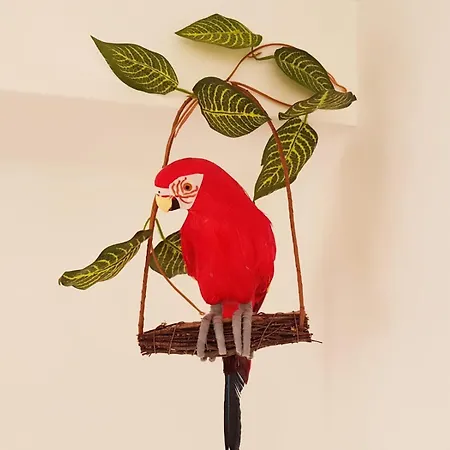 Apartmán Parrot's House