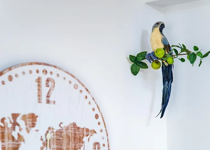 Parrot's House Lloret de Mar