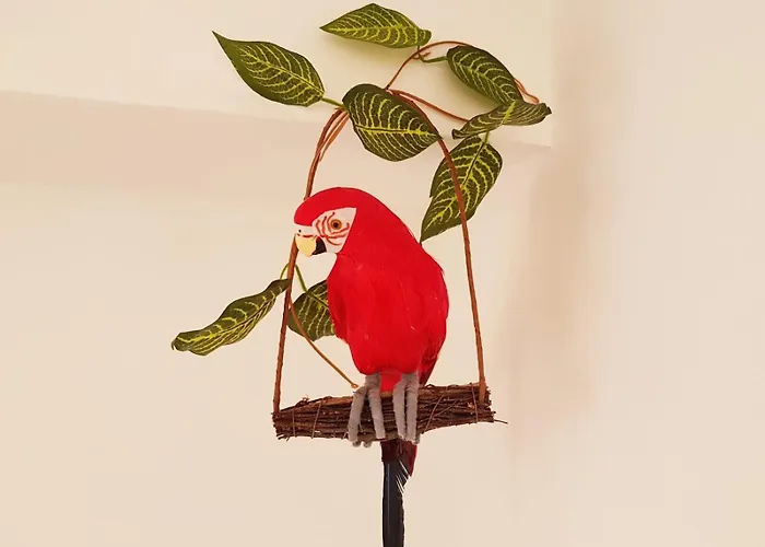 Apartamento Parrot's House